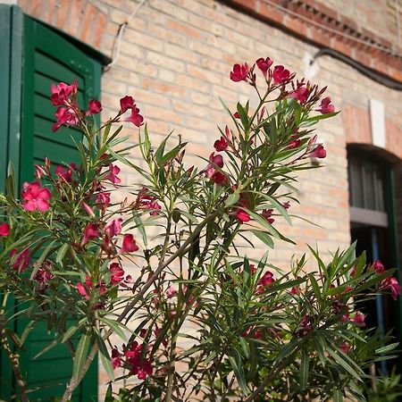 Rooms Split Pezelj Exterior foto